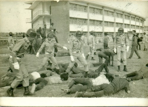 Nhập trường (25)