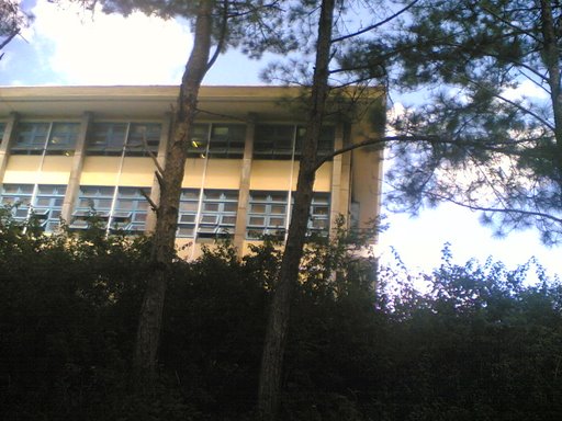 2722144131_3c0bdc2ba0_o