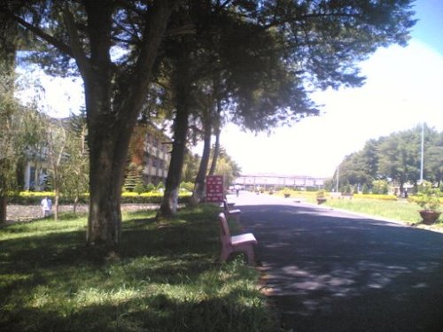 2722967310_7f7fd2db42_o