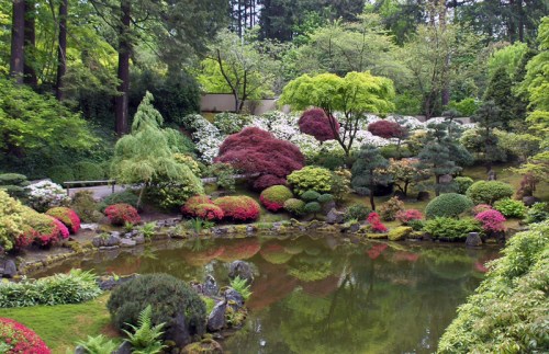 2dc_1d64b8_f7ff1cff_oj