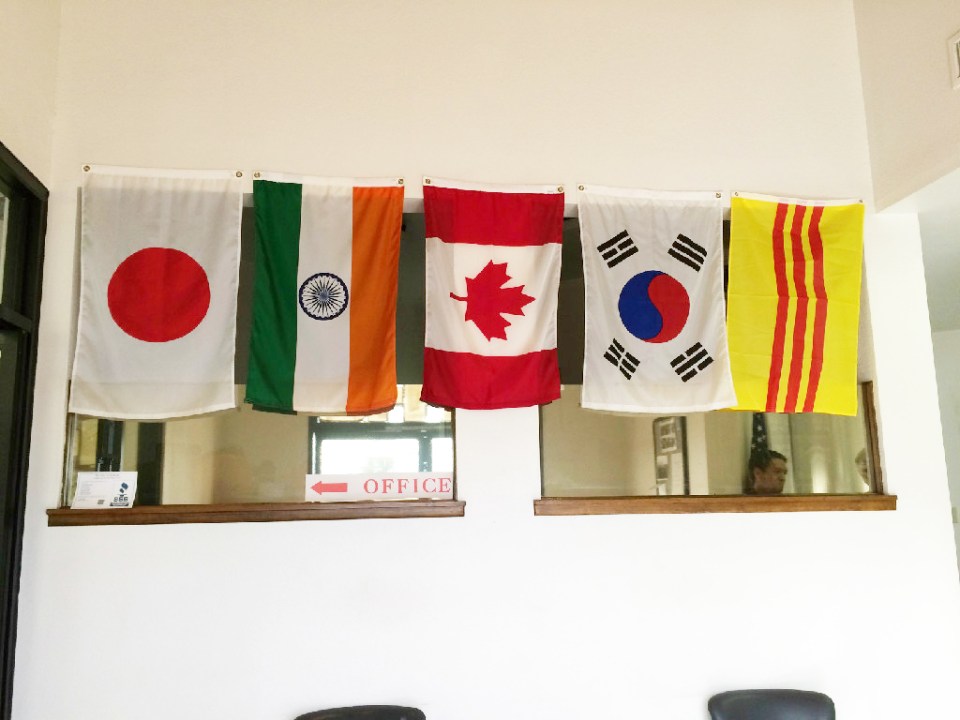 0168bc82207c3da1f69c9e24f6669f3a