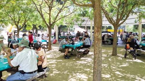 IMG_20190804_115259a