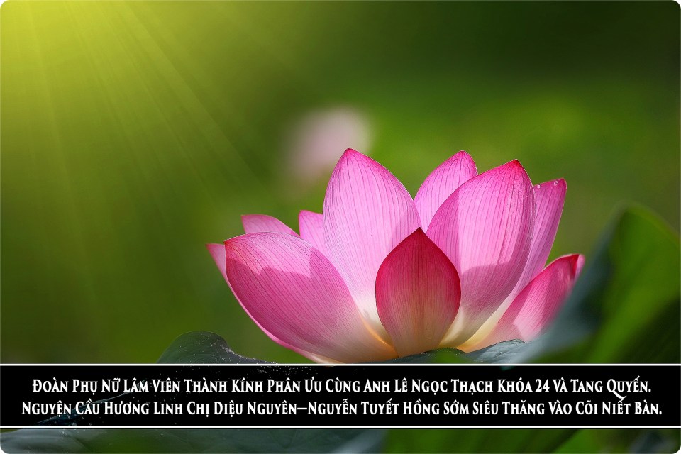 PU-ChiDieuNguyenK24-horz