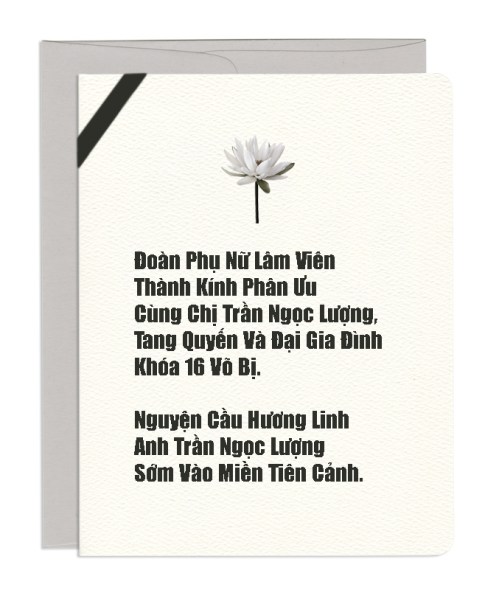 Anh-TranNgocLuong-K16